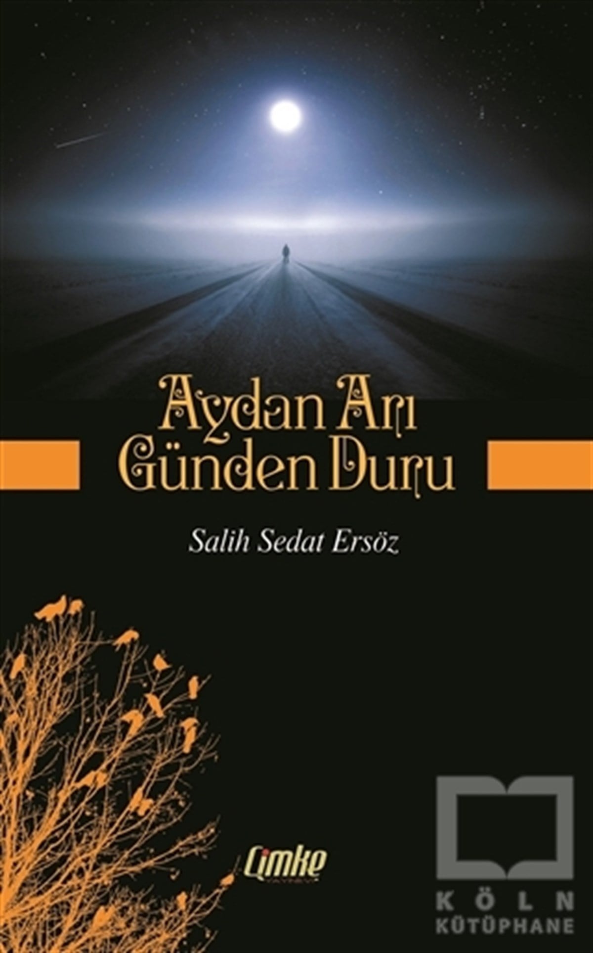 Salih Sedat ErsözDenemeAydan Arı Günden Duru