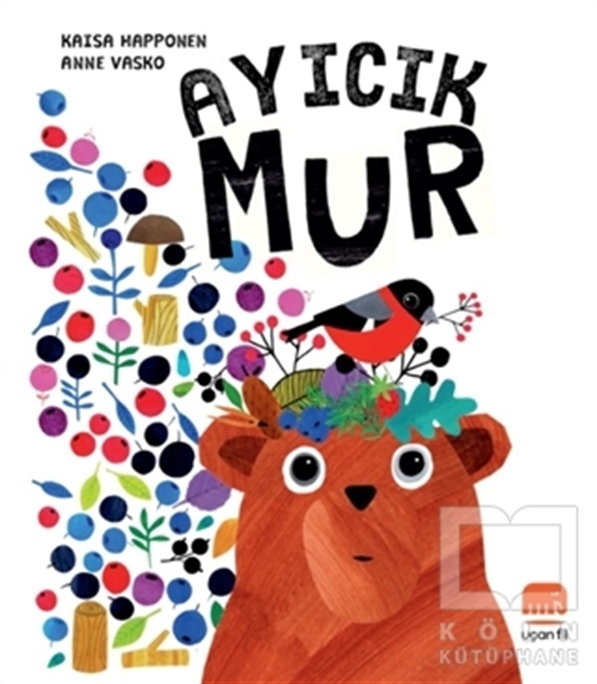 Anne VaskoÇocuk Hikaye KitaplarıAyıcık Mur