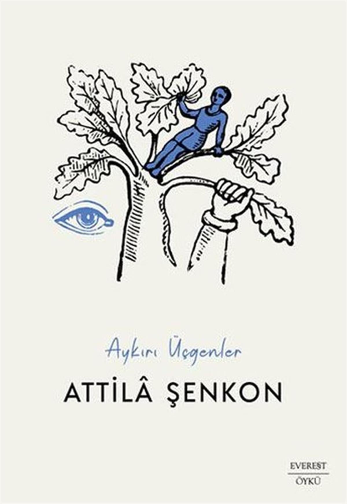Attila ŞenkonHikaye (Öykü) KitaplarıAykırı Üçgenler