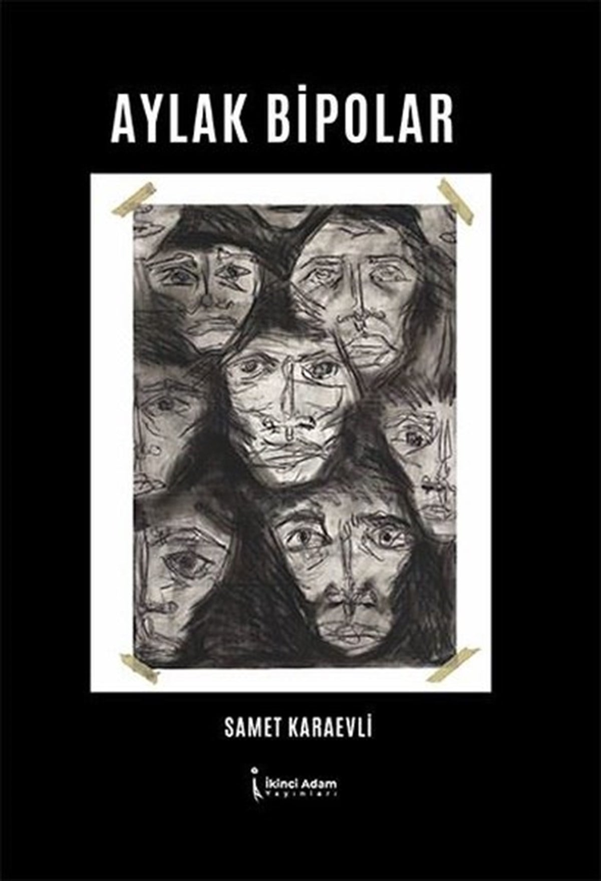 Samet KaraevliDeneme KitaplarıAylak Bipolar