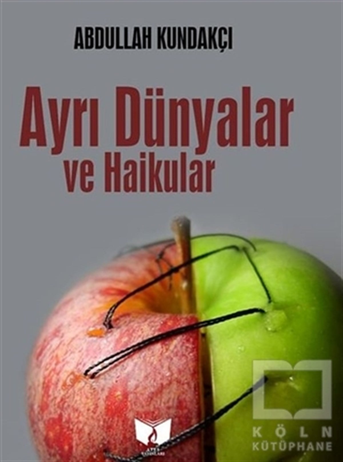 Abdullah KundakçıTürkçe Şiir KitaplarıAyrı Dünyalar ve Haikular
