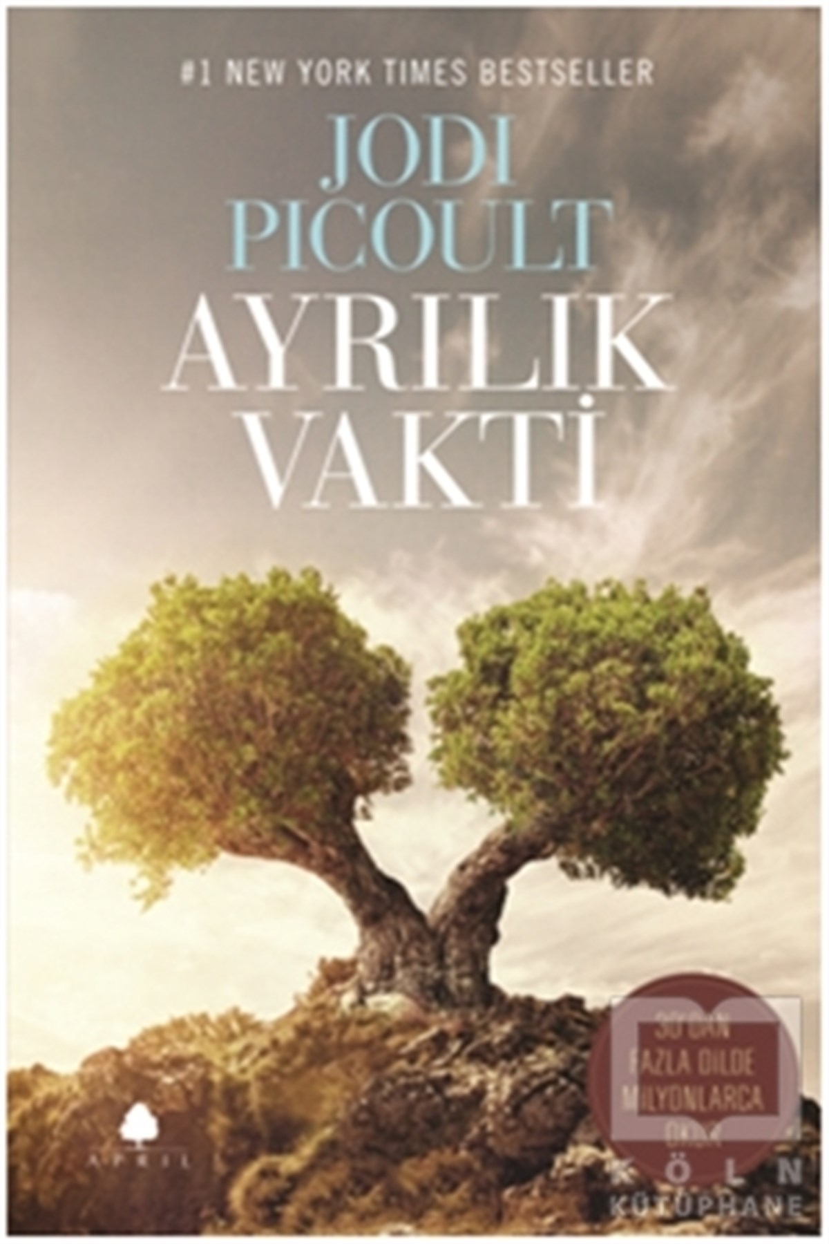 Jodi PicoultRomanAyrılık Vakti