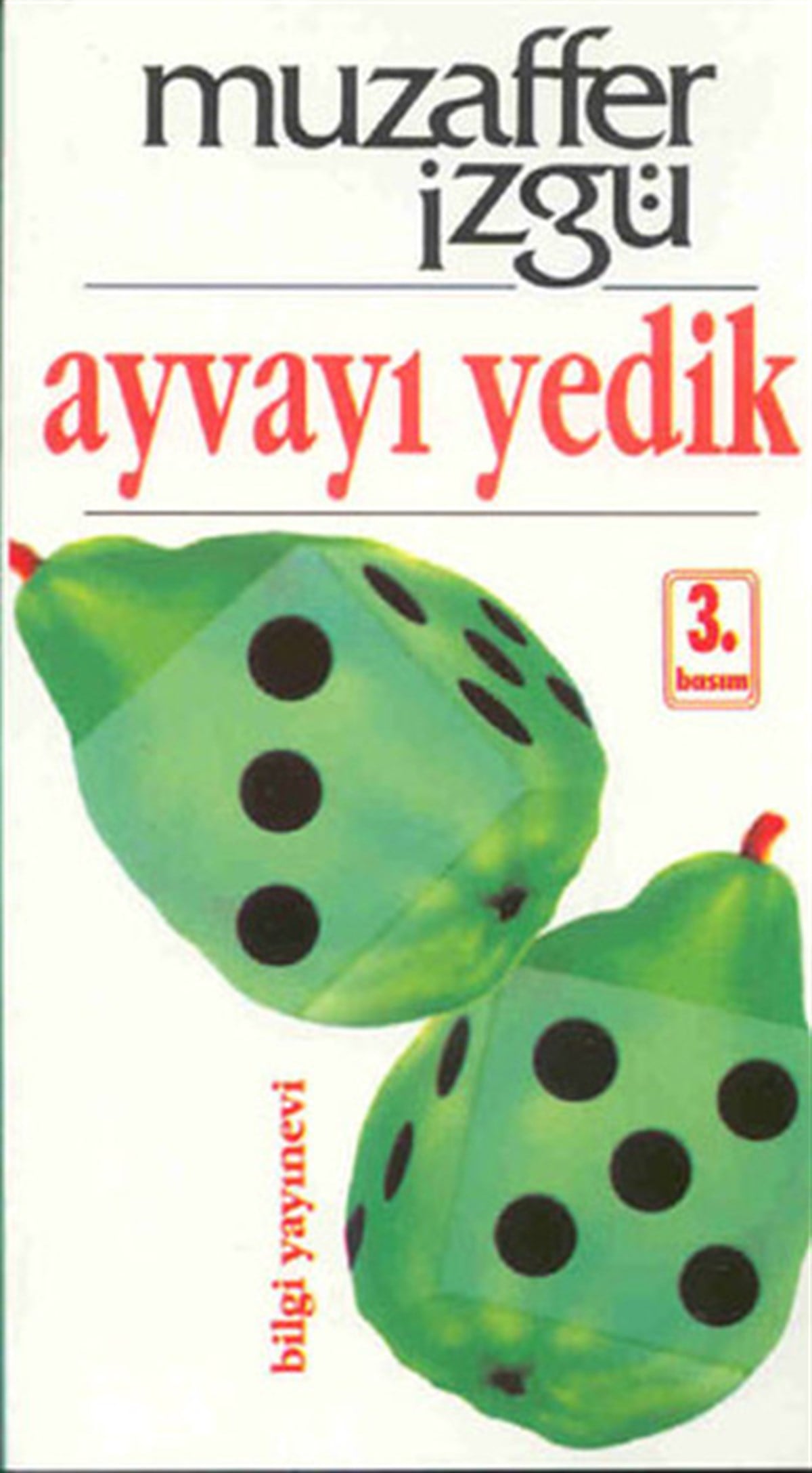 Muzaffer İzgüMizah Romani - ÖyküAyvayı Yedik
