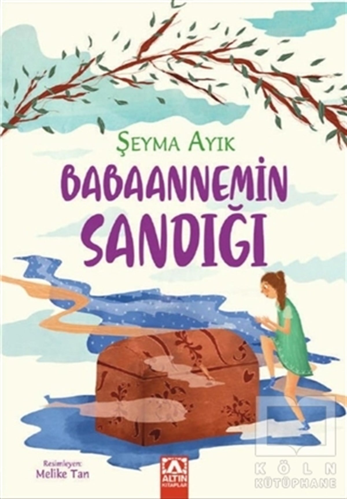 Şeyma AyıkÇocuk RomanlarıBabaannemin Sandığı