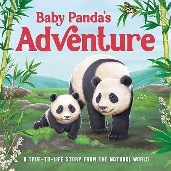 KolektifPreschoolBaby Panda's Adventure