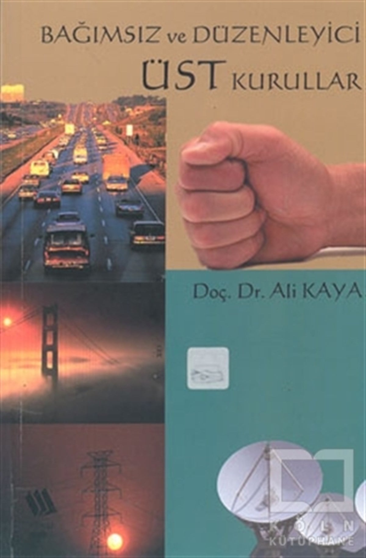 Ali KayaKurumlar, ÖrgütlerBağımsız ve Düzenleyici Üst Kurullar