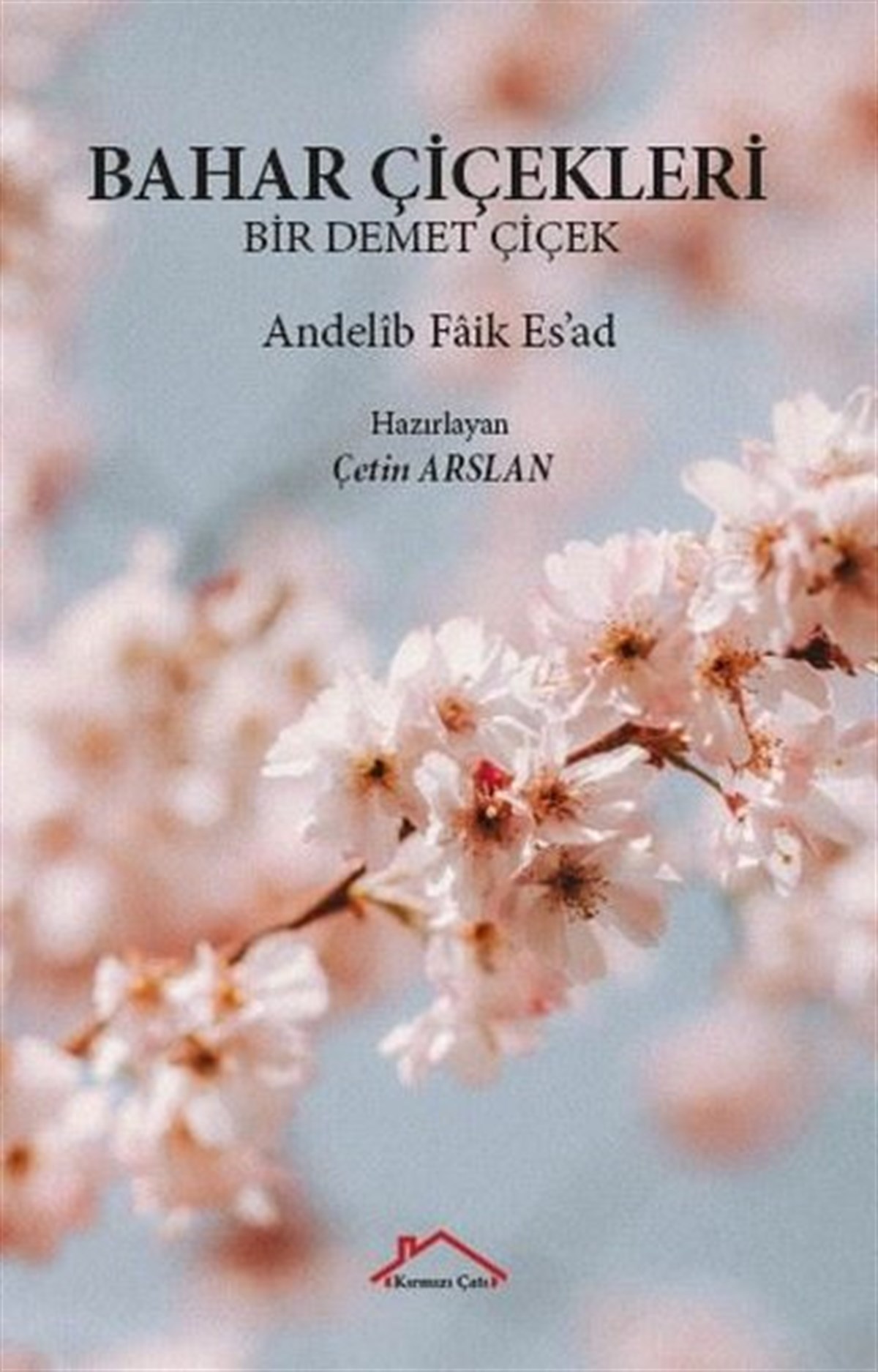Andelib Faik Es'adTürk ŞiiriBahar Çiçekleri - Bir Demet Çiçek