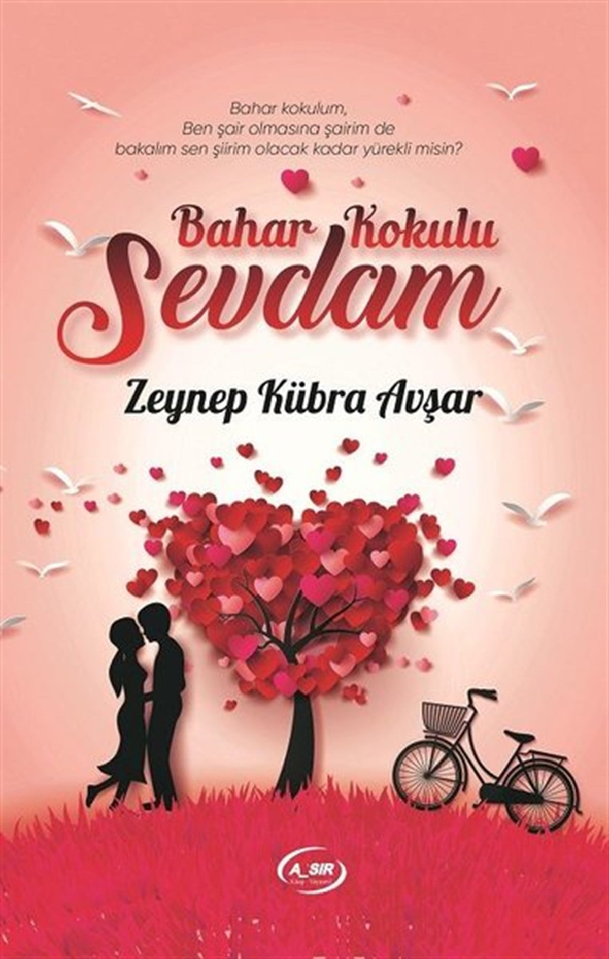 Zeynep Kübra AvşarTürkiye RomanBahar Kokulu Sevdam