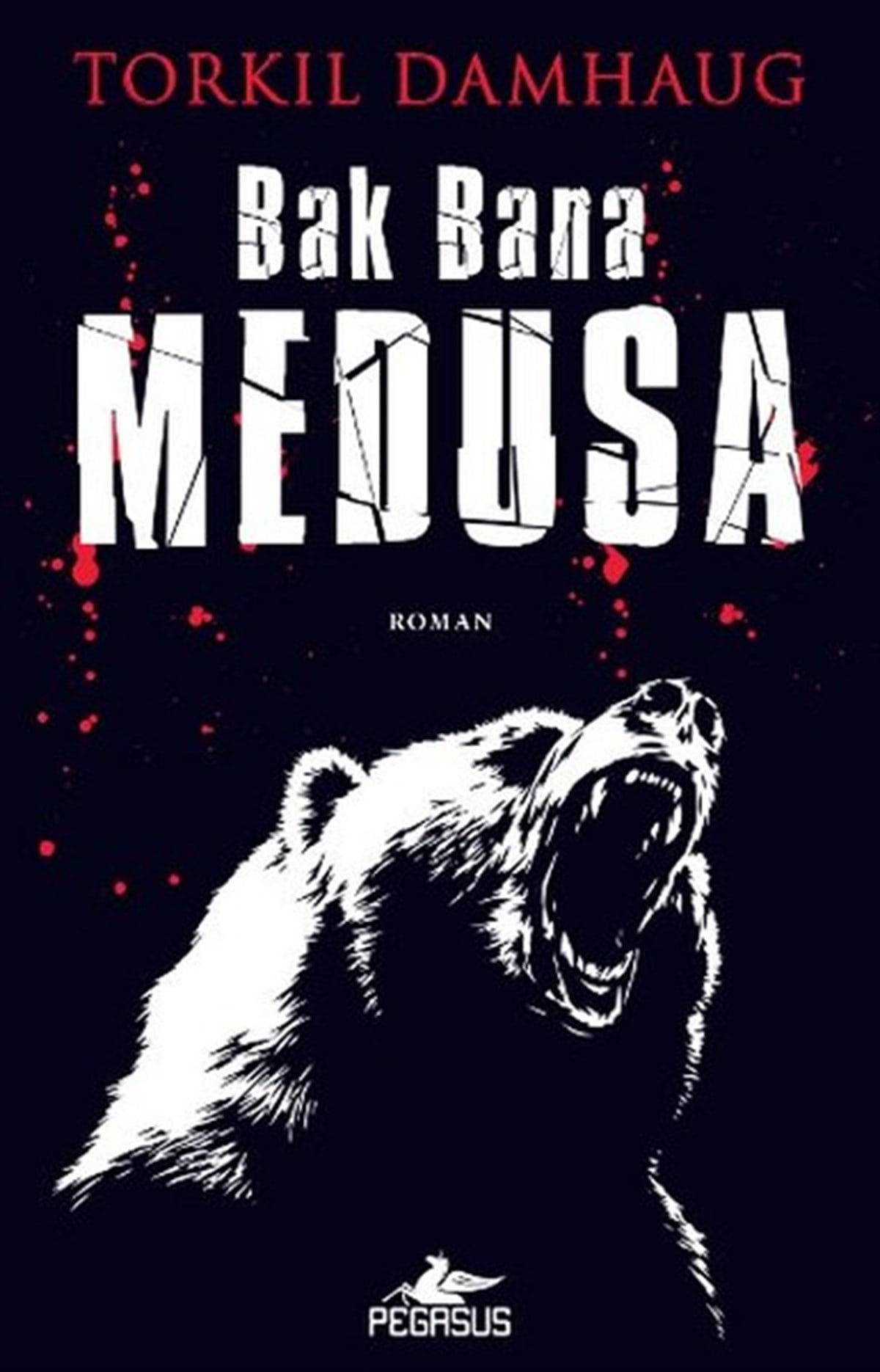 Meral GökPolisiye Romanlar & Cinayet RomanlarıBak Bana Medusa
