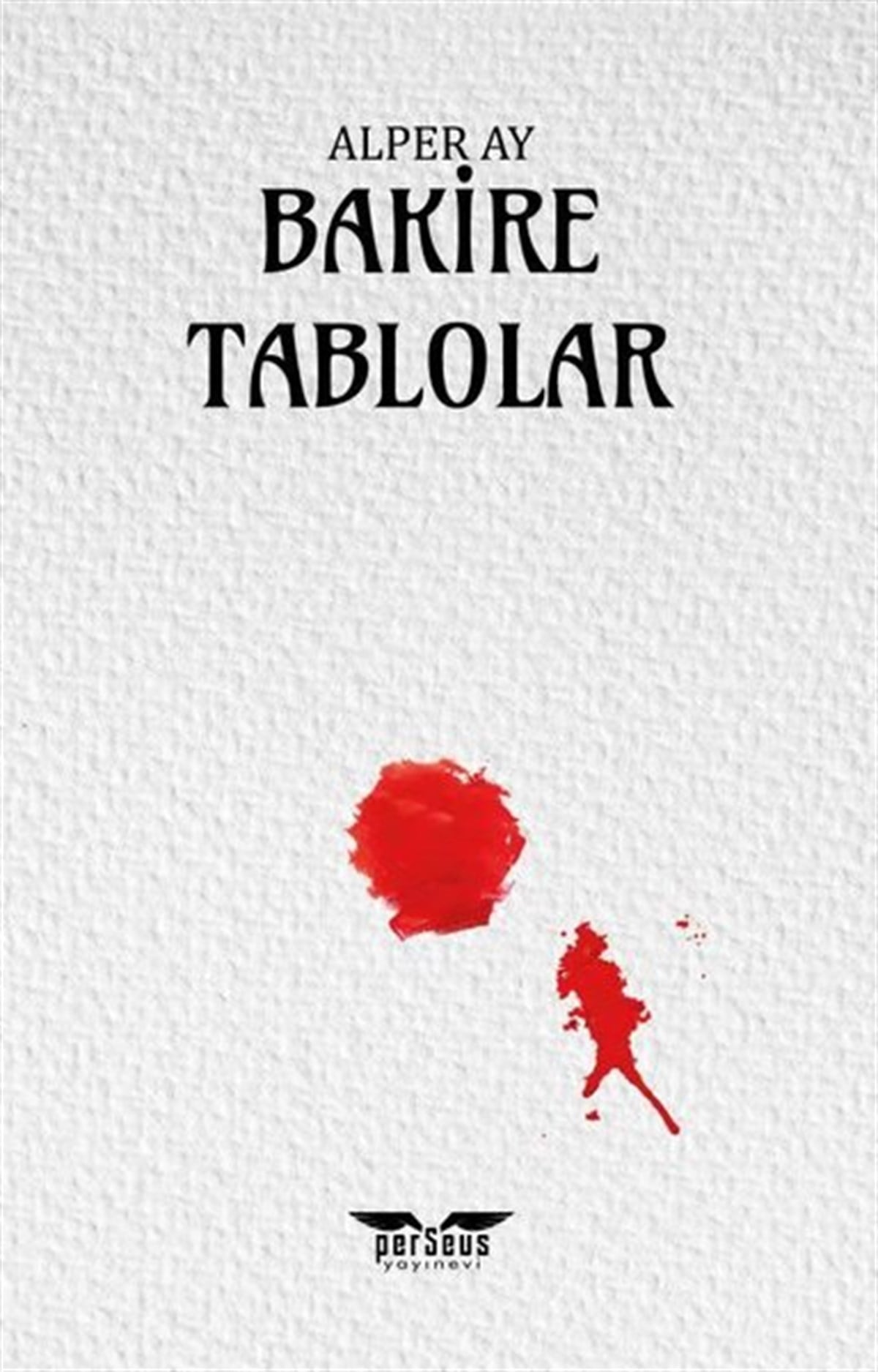 Alper AyTürkiye RomanBakire Tablolar