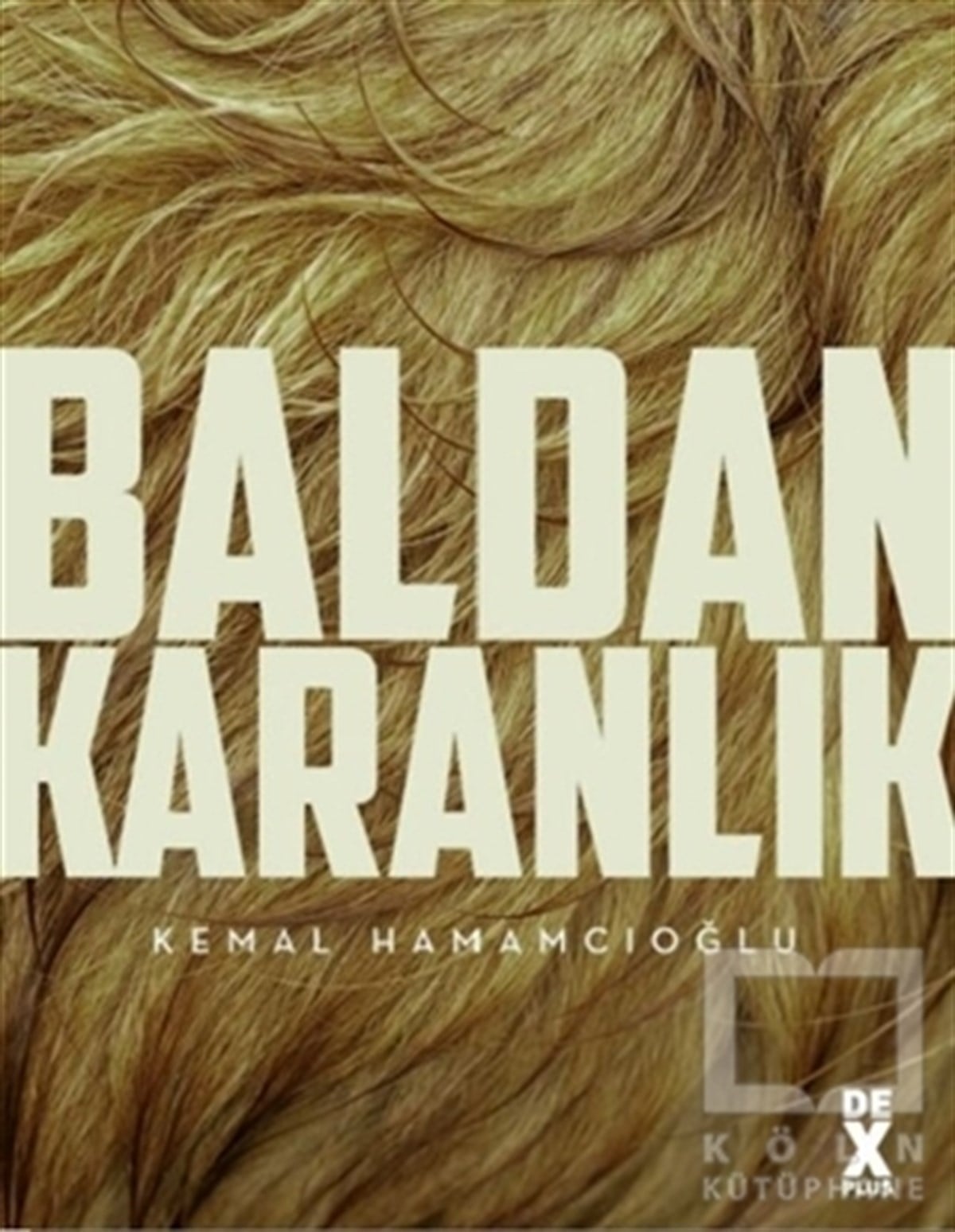 Kemal HamamcıoğluHikaye (Öykü) KitaplarıBaldan Karanlık