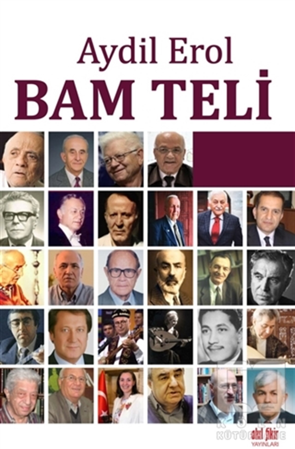 Aydil ErolAkademikBam Teli