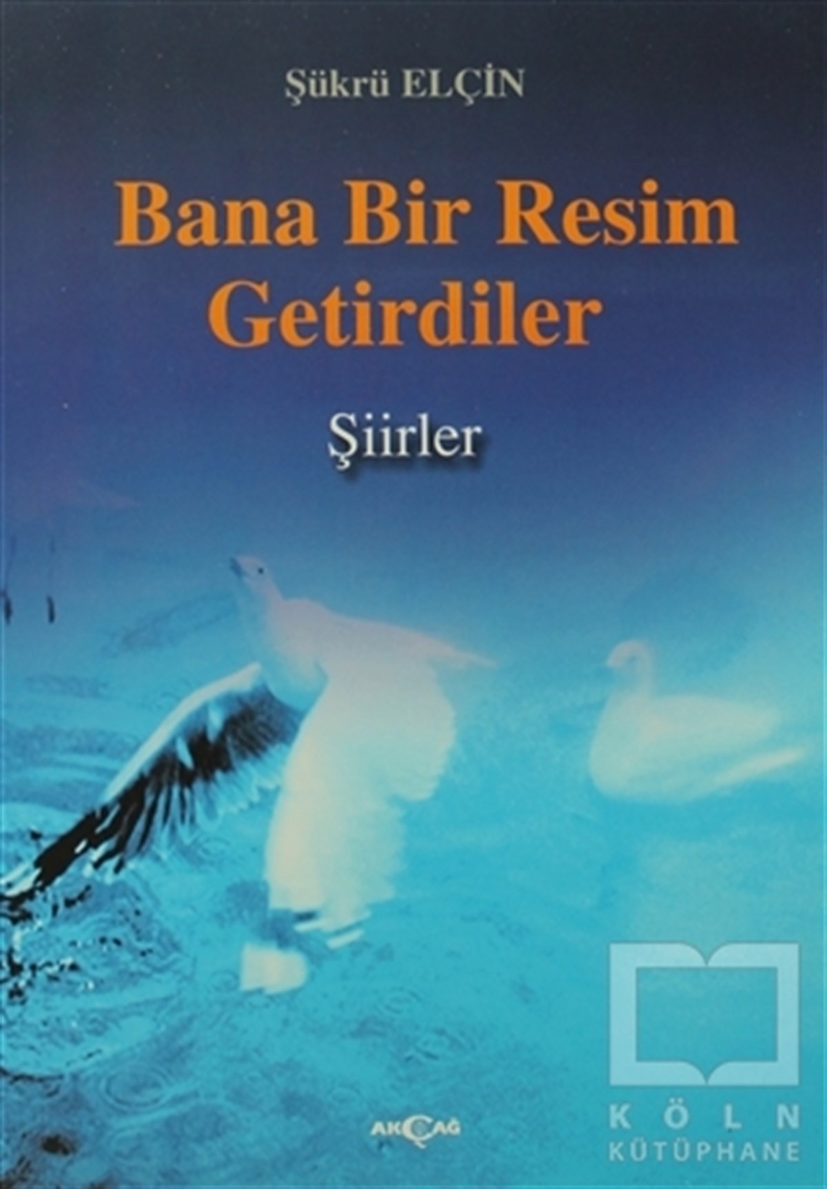 Şükrü ElçinŞiirBana Bir Resim Getirdiler