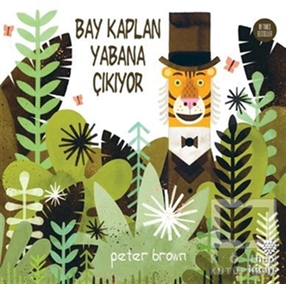 Peter BrownRoman-ÖyküBay Kaplan Yabana Çıkıyor