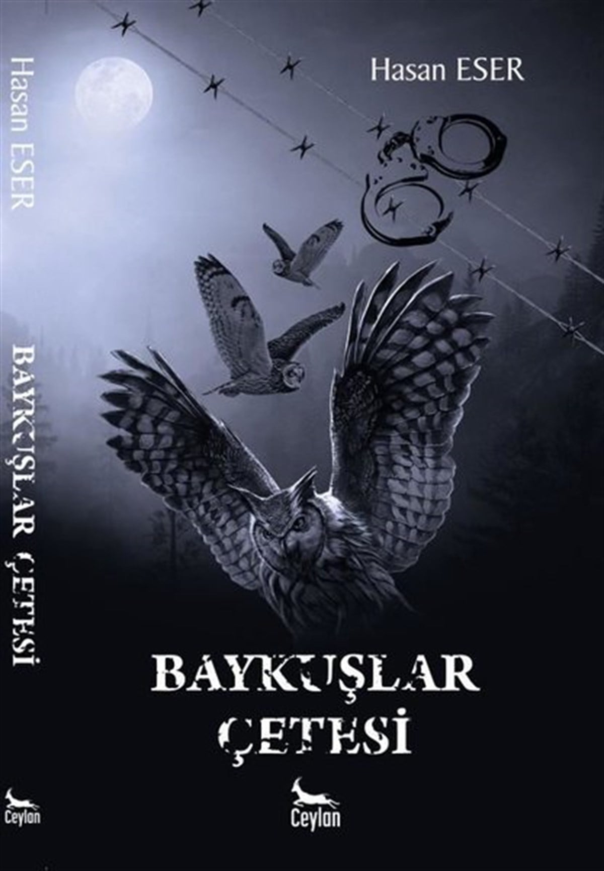 Hasan EserTürkiye RomanBaykuşlar Çetesi