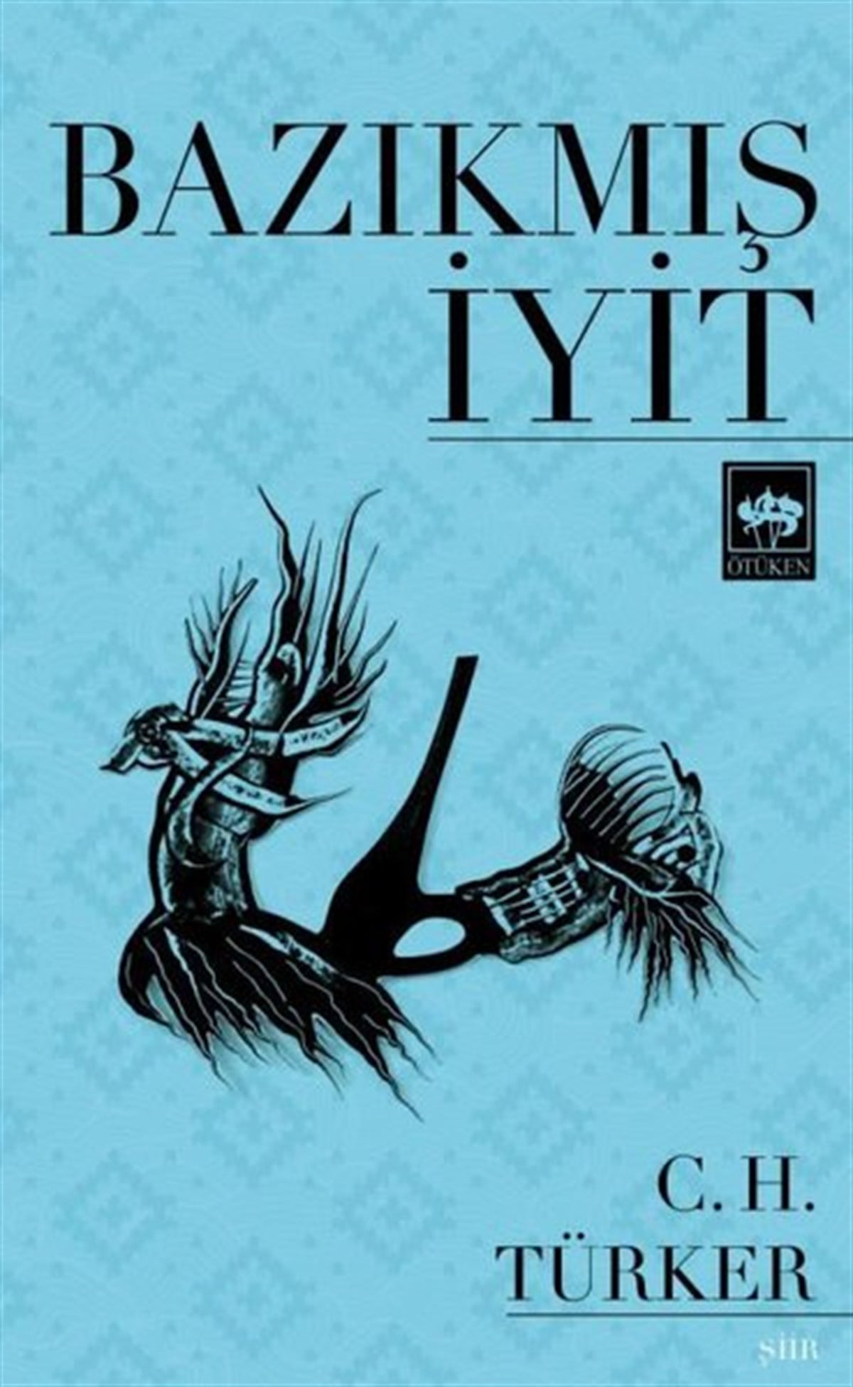 Can Habip TürkerTürk ŞiiriBazıkmış İyit