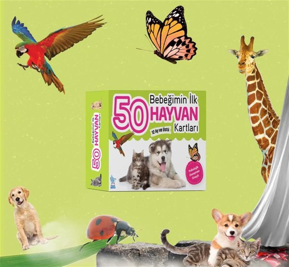 KolektifEgitim Etkinlik KitaplariBebeğimin İlk  50 Hayvan Kartları