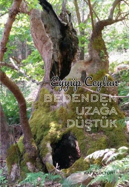 Eyyüp CeylanTürk ŞiiriBedenden Uzağa Düştük