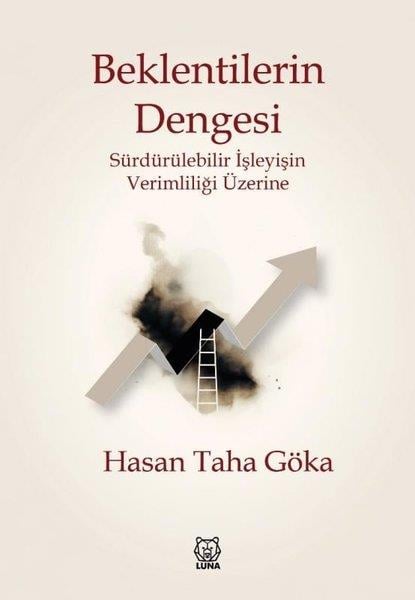Hasan Taha GökaTürkiye RomanBeklentilerin Dengesi - Sürdürülebilir İşleyişin Verimliliği Üzerine