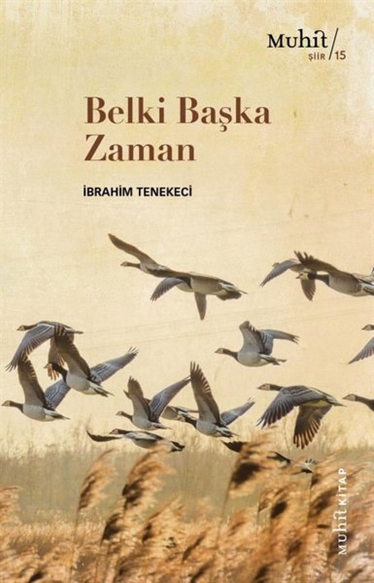 İbrahim TenekeciTürk ŞiiriBelki Başka Zaman