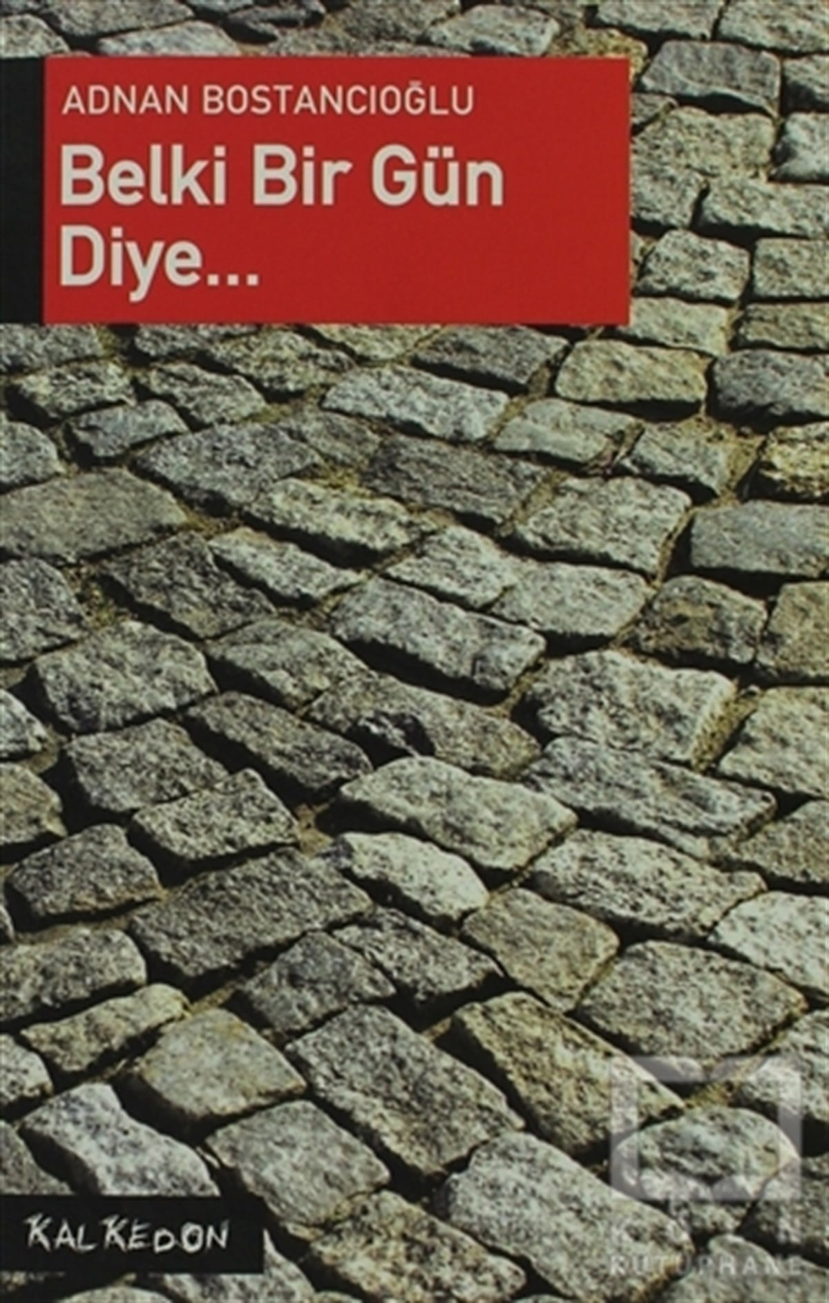 Adnan BostancıoğluDiğerBelki Bir Gün Diye...