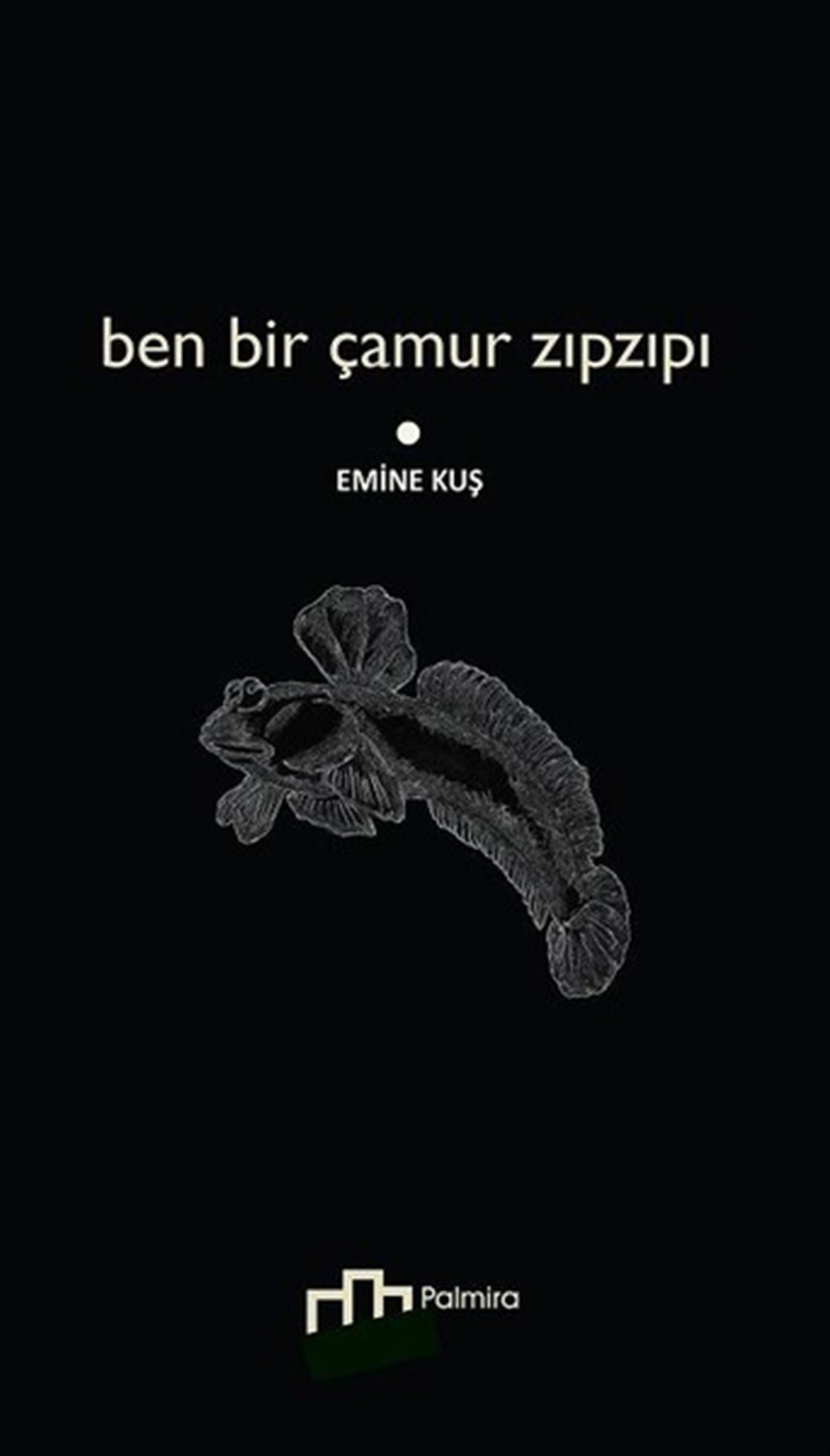 Emine KuşTürk ŞiiriBen Bir Çamur Zıpzıpı