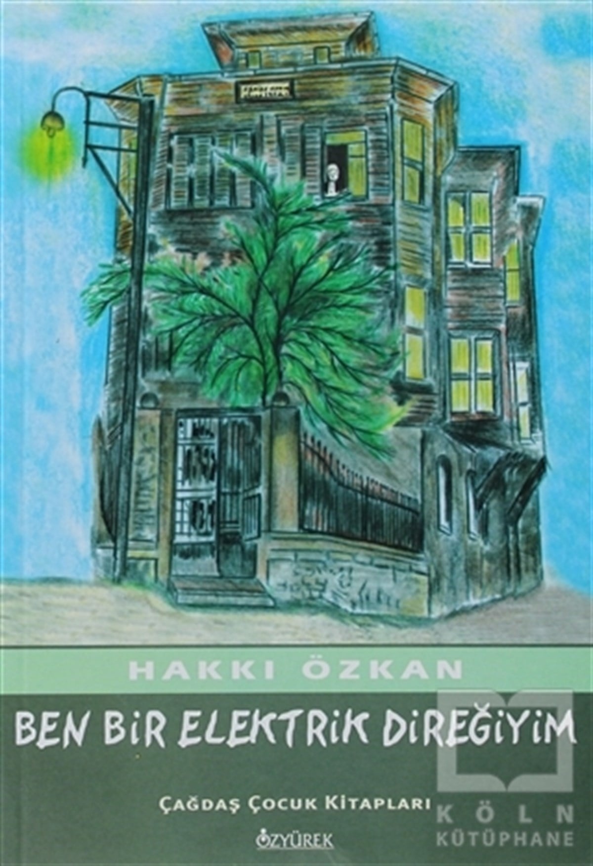 Hakkı ÖzkanHikayelerBen Bir Elektrik Direğiyim