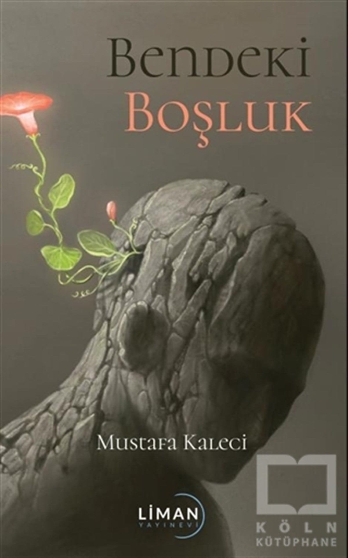 Mustafa KaleciTürkçe RomanlarBendeki Boşluk