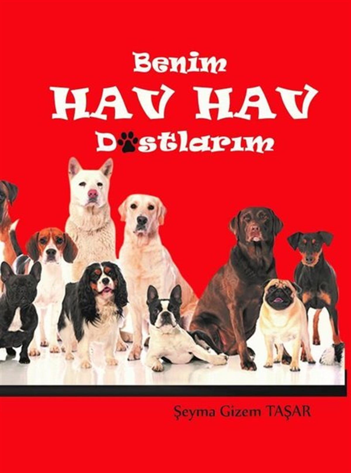 Şeyma Gizem TaşarAnı & Mektup & Günlük KitaplarıBenim Hav Hav Dostlarım