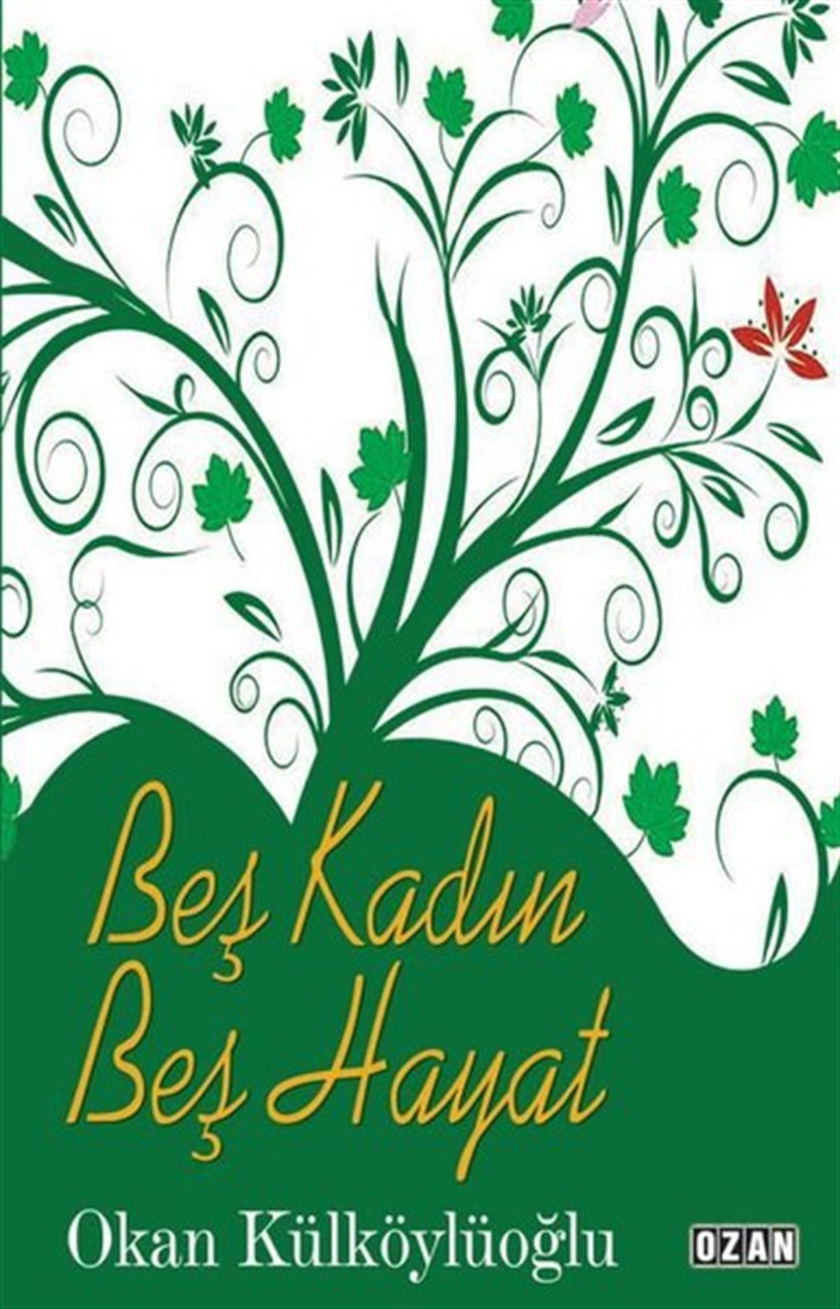 Okan KülköylüoğluTürkiye RomanBeş Kadın Beş Hayat