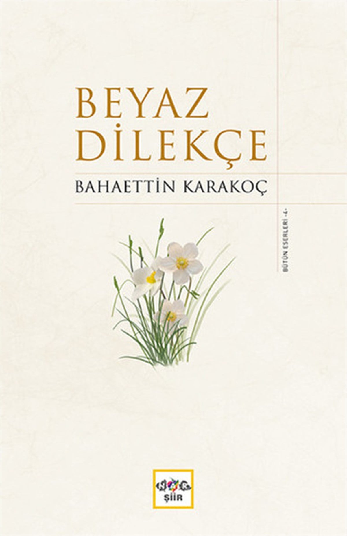 Yunus KaraaslanTürk ŞiiriBeyaz Dilekçe