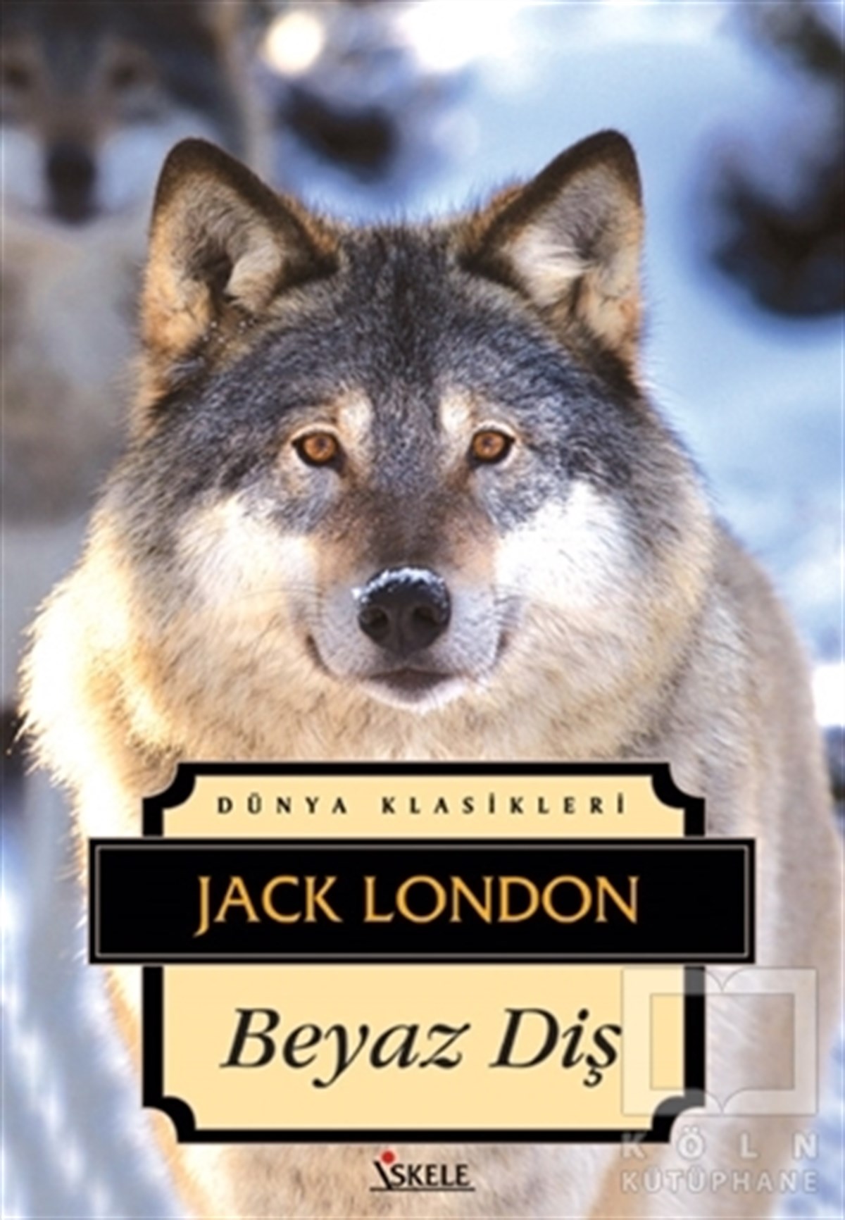 Jack LondonGençlik EdebiyatıBeyaz Diş
