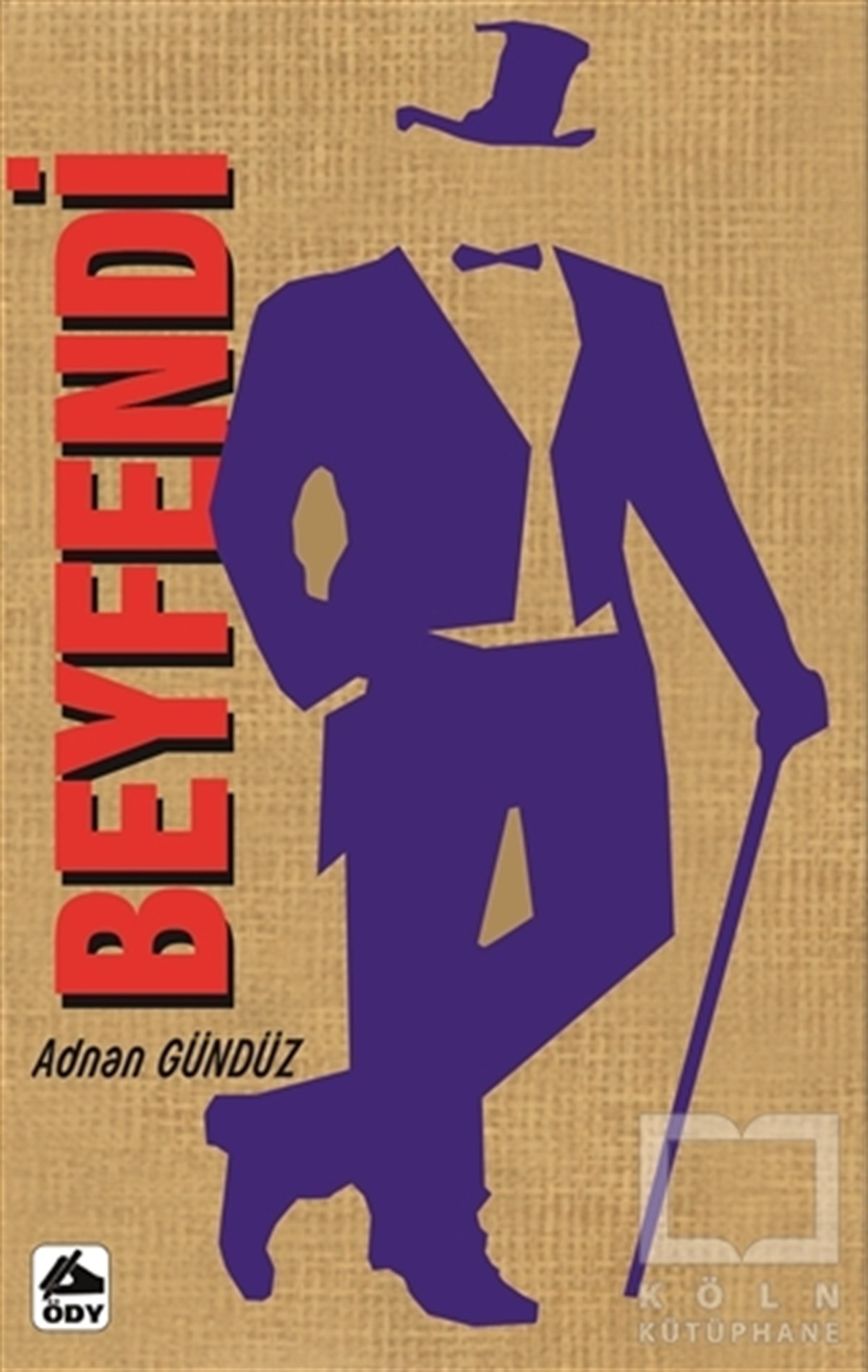 Adnan GündüzHikaye (Öykü) KitaplarıBeyfendi