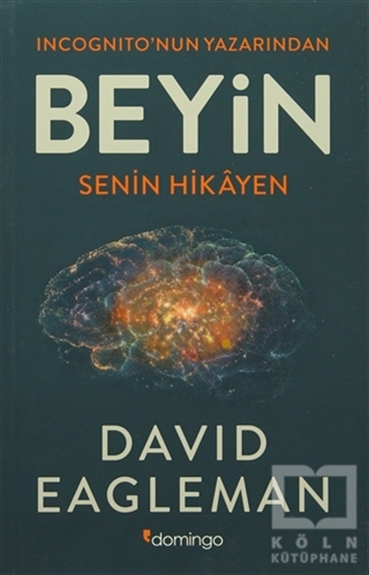 David EaglemanPopüler BilimBeyin