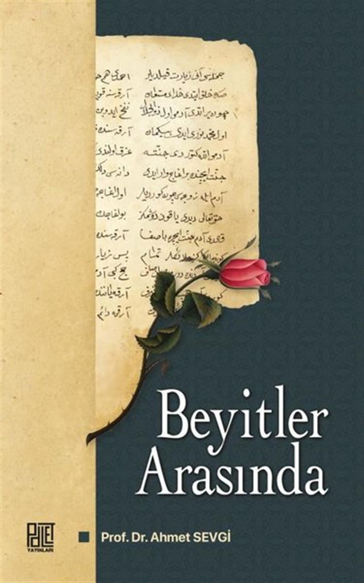 Ahmet SevgiDeneme KitaplarıBeyitler Arasında