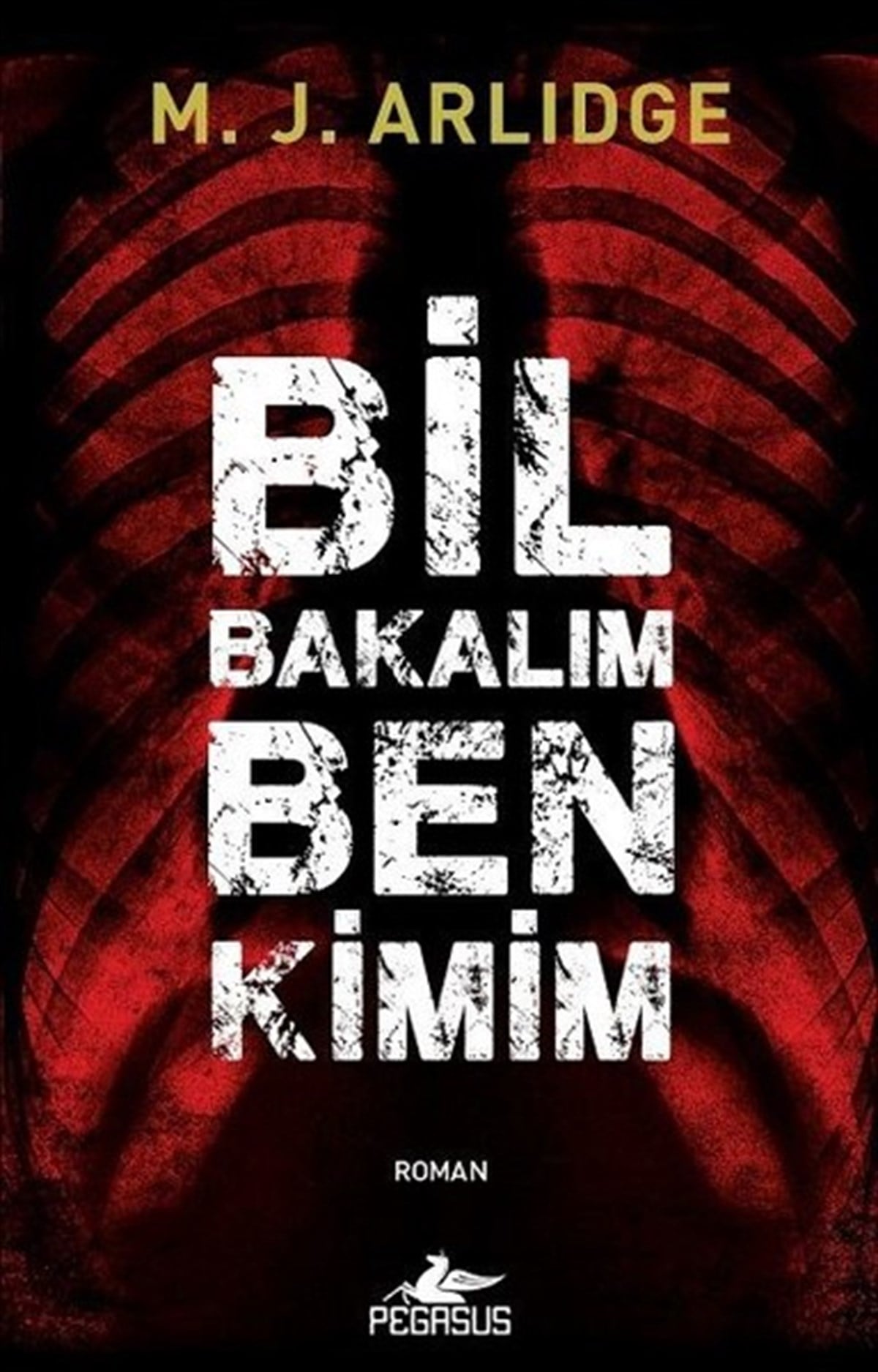 M. J. ArlidgePolisiye Romanlar & Cinayet RomanlarıBil Bakalım Ben Kimim