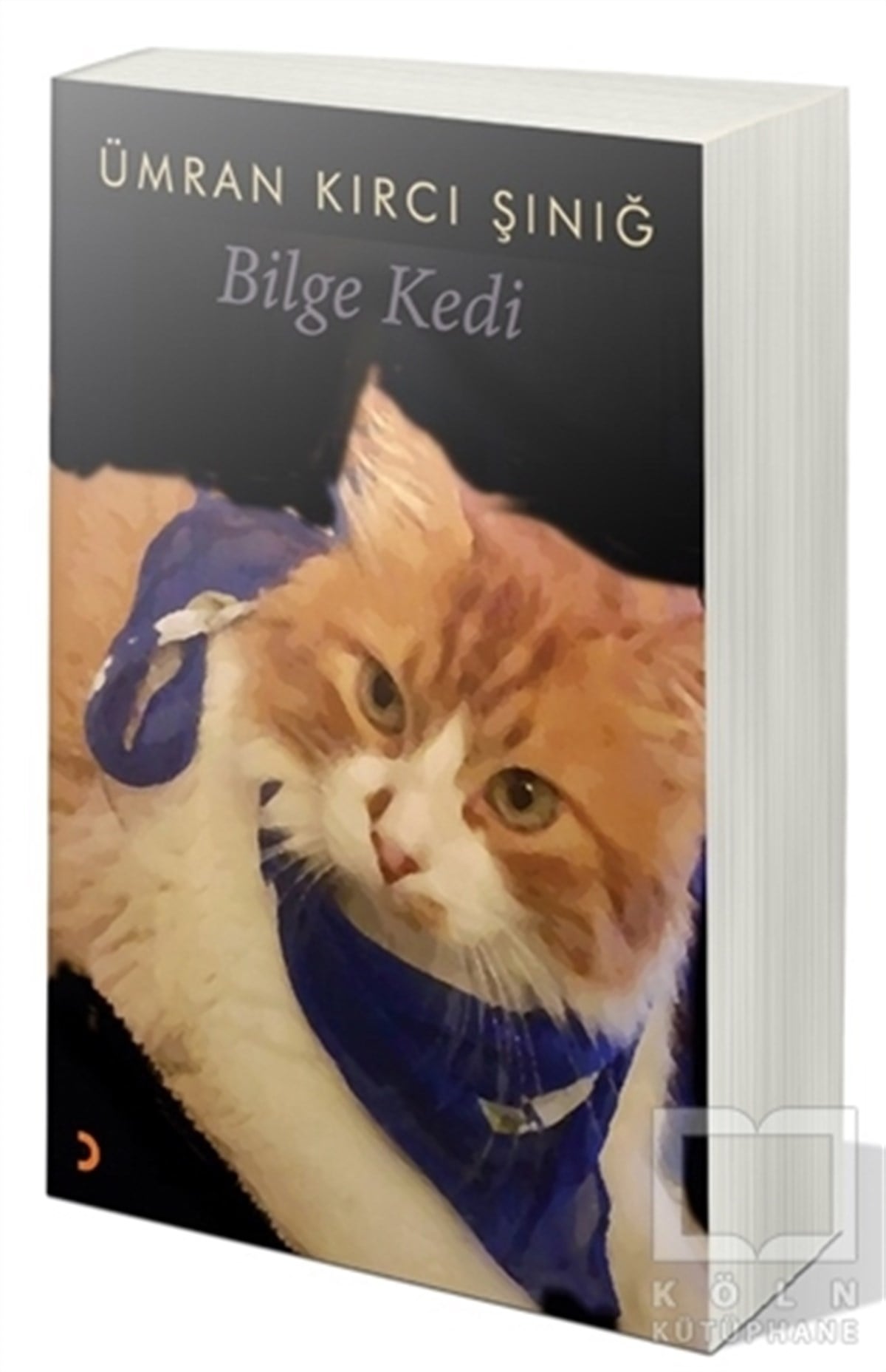 Ümran Kırcı ŞınığTürkçe RomanlarBilge Kedi