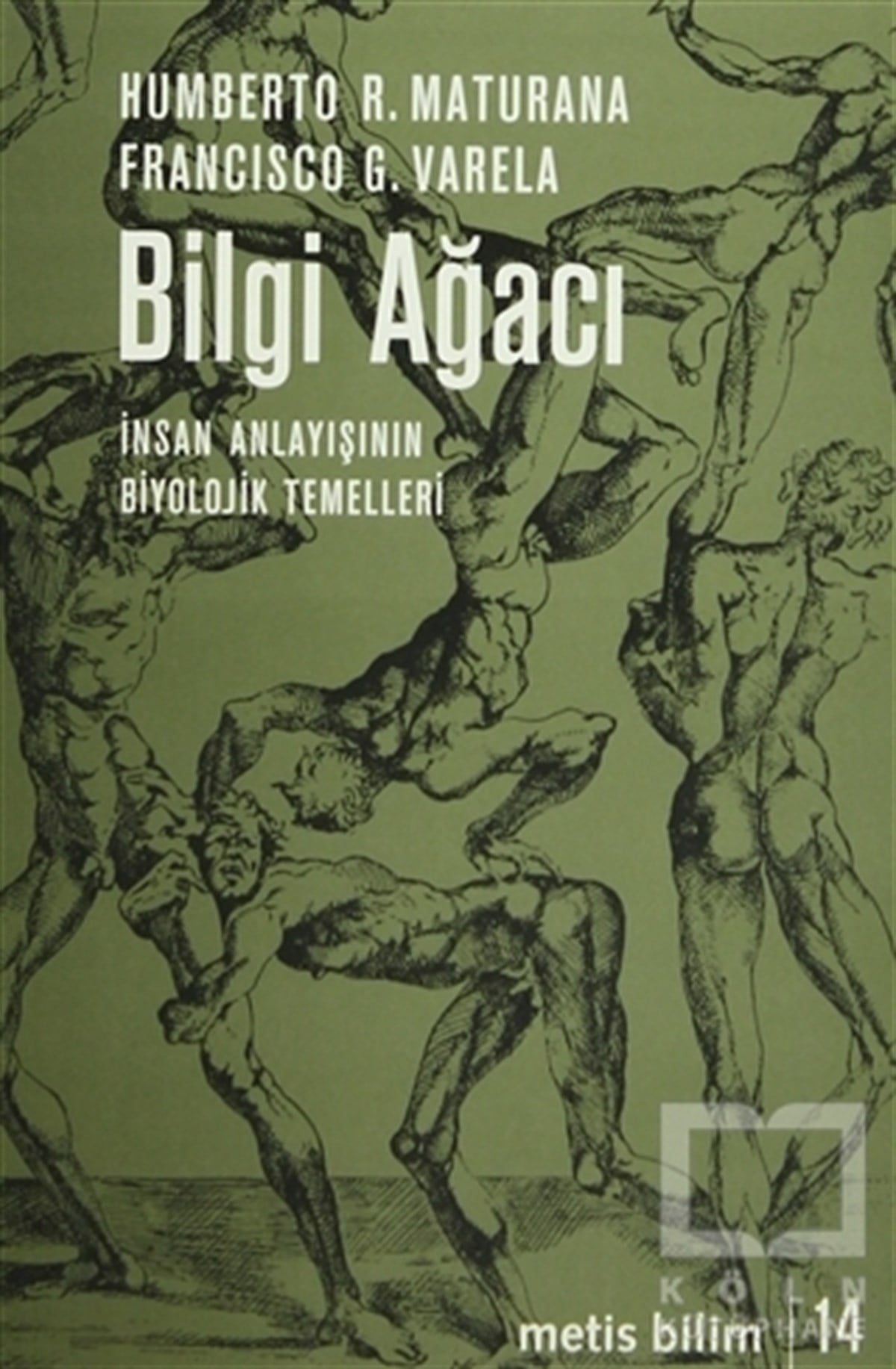 Humberto R. MaturanaPopüler BilimBilgi Ağacı