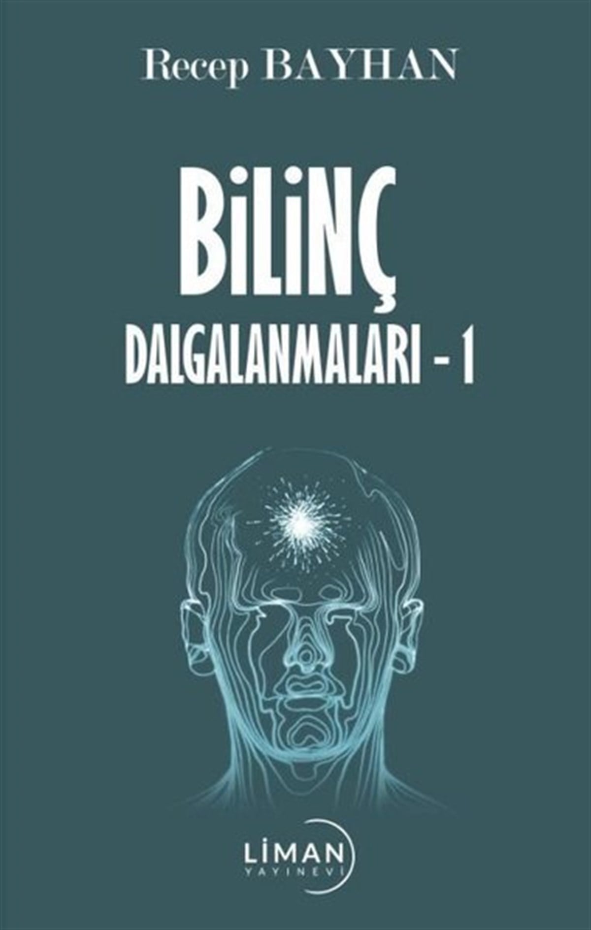 Recep BayhanTürkiye RomanBilinç Dalgalanmaları - 1