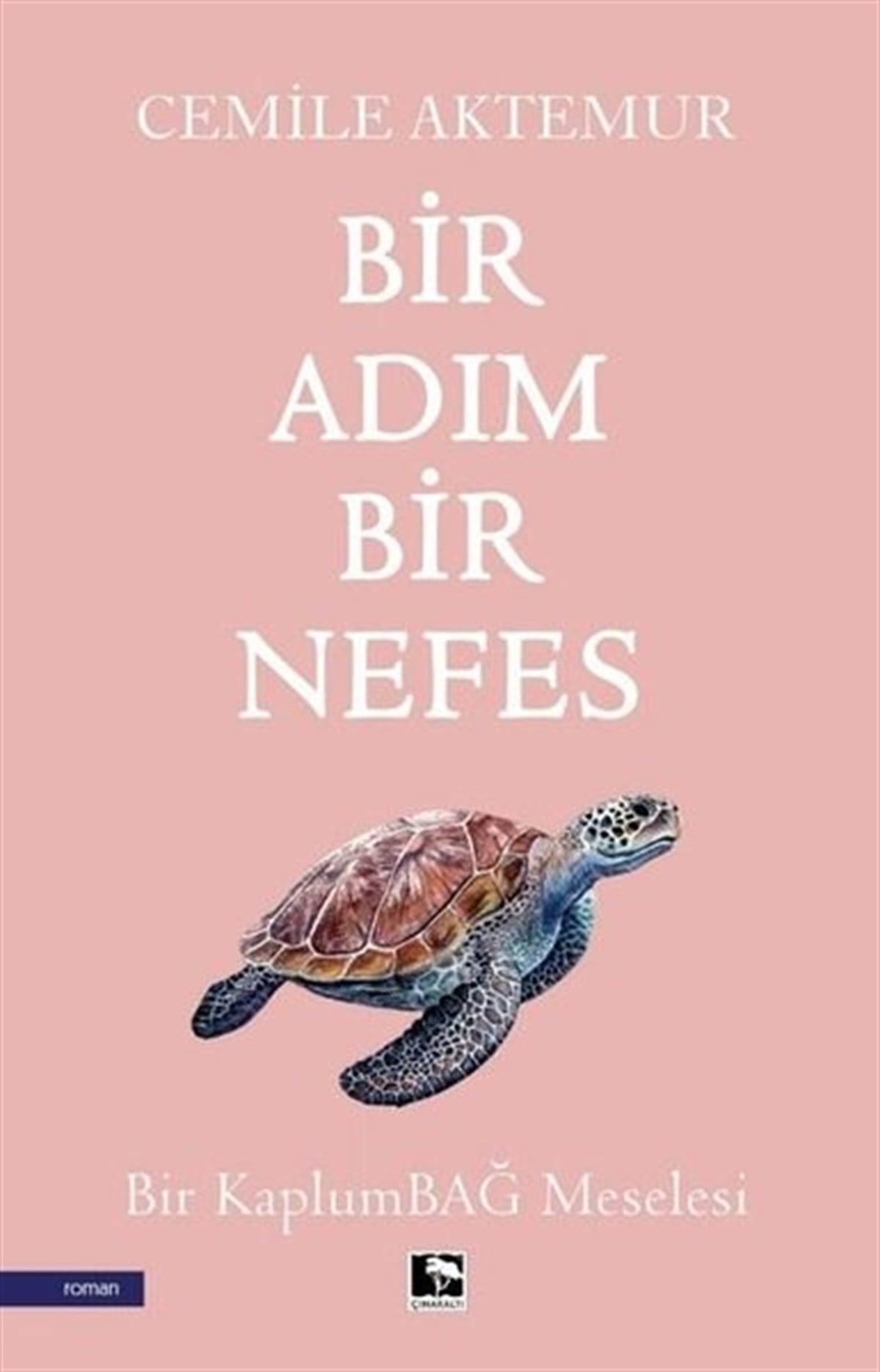Cemile AktemurTürkiye RomanBir Adım Bir Nefes - Bir Kaplumbağ Meselesi