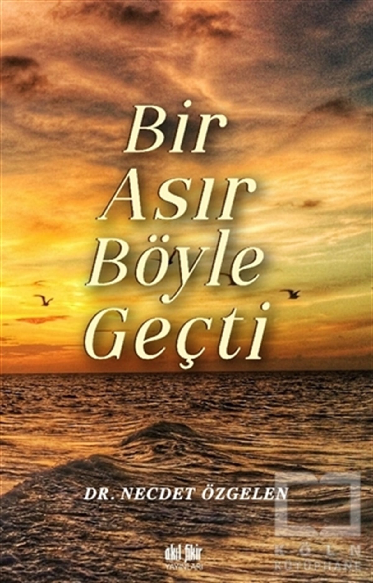 Necdet ÖzgelenAraştırma - İncelemeBir Asır Böyle Geçti