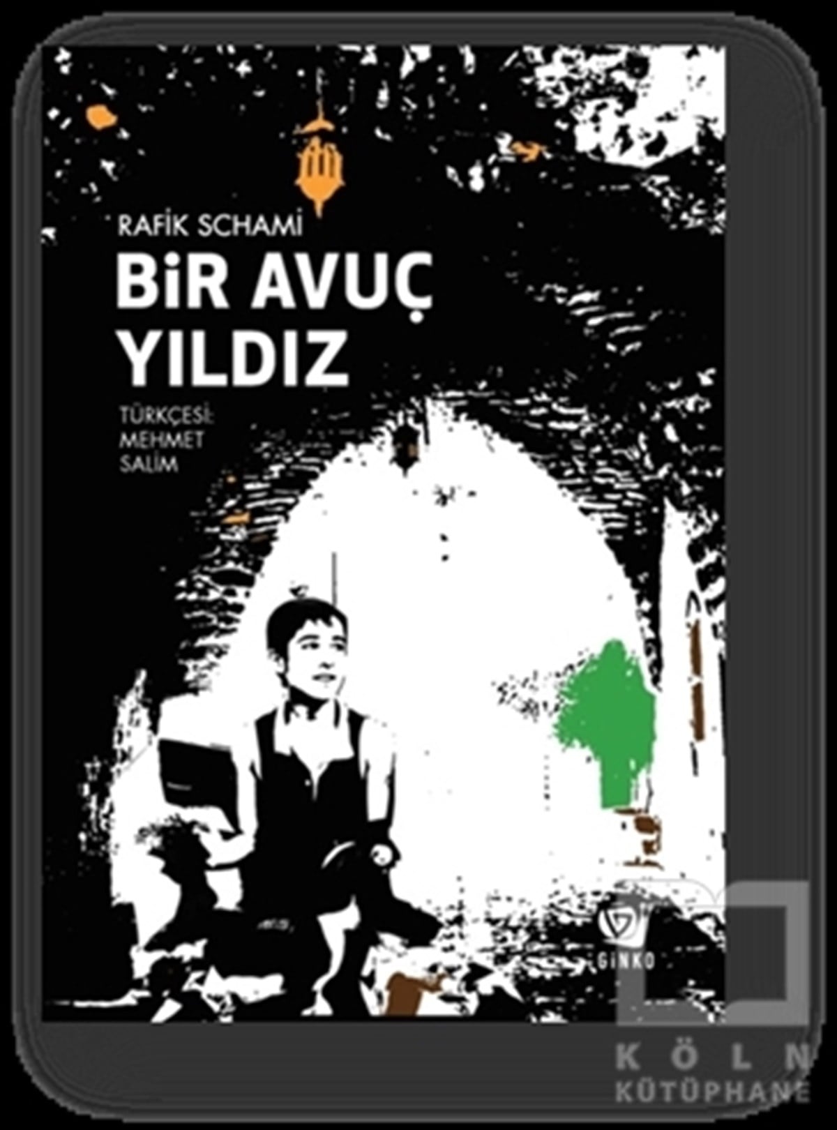 Rafik SchamiÇocuk RomanlarıBir Avuç Yıldız