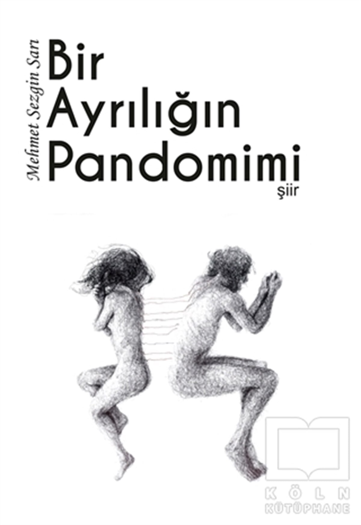 Mehmet Sezgin SarıTürkçe Şiir KitaplarıBir Ayrılığın Pandomimi