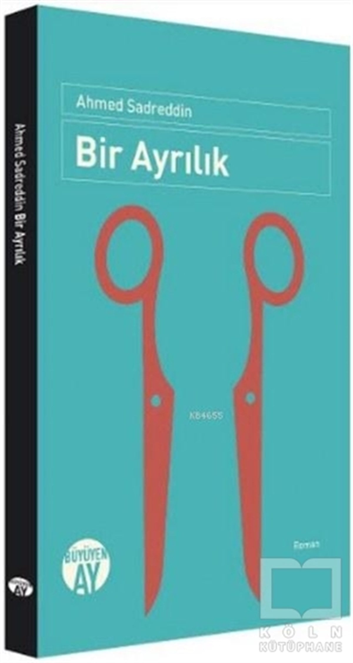 Ahmed SadreddinRomanBir Ayrılık