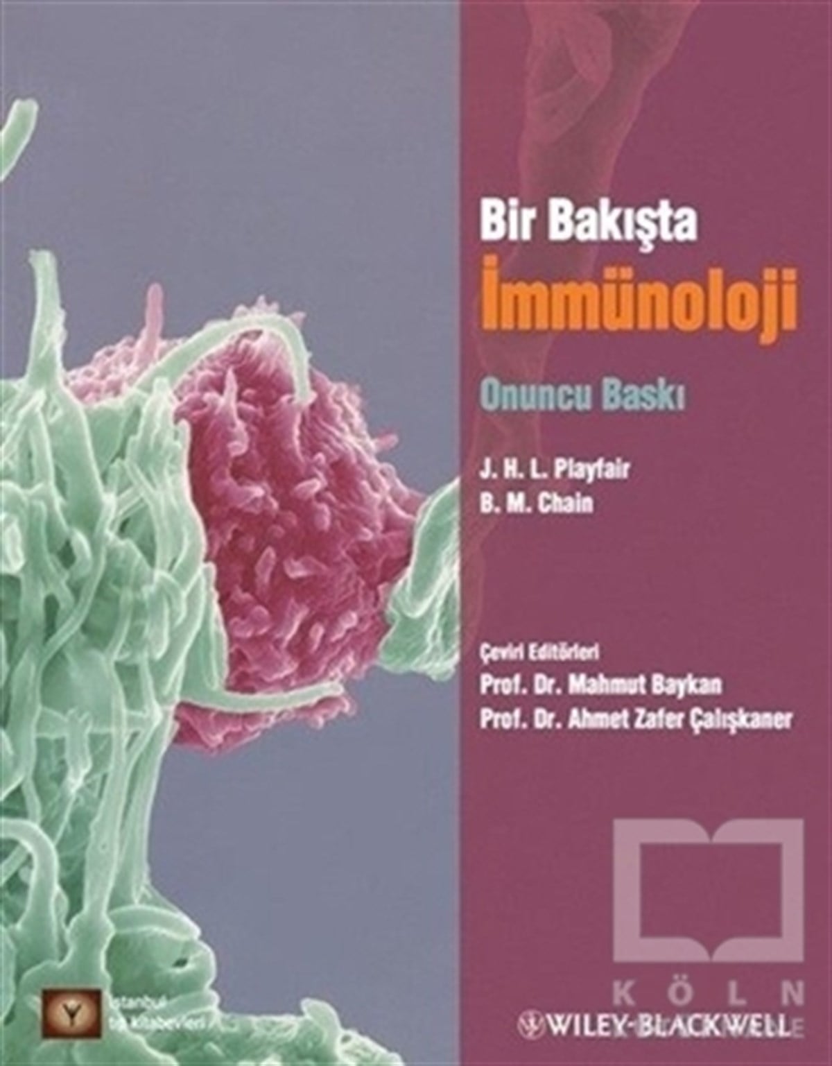 B. M. ChainAkademikBir Bakışta İmmünoloji