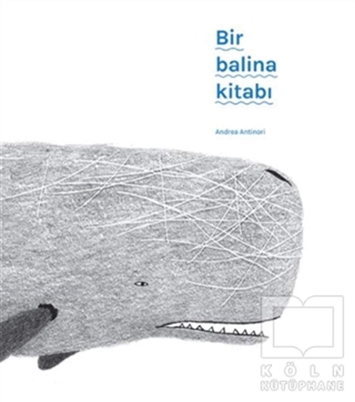 Andrea AntinoriBilimsel KitaplarBir Balina Kitabı