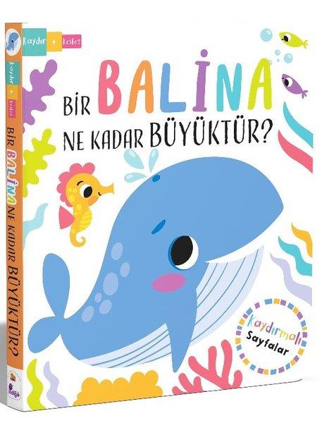Lisa ReganEgitim Etkinlik KitaplariBir Balina Ne Kadar Büyüktür? Kaydır Keşfet