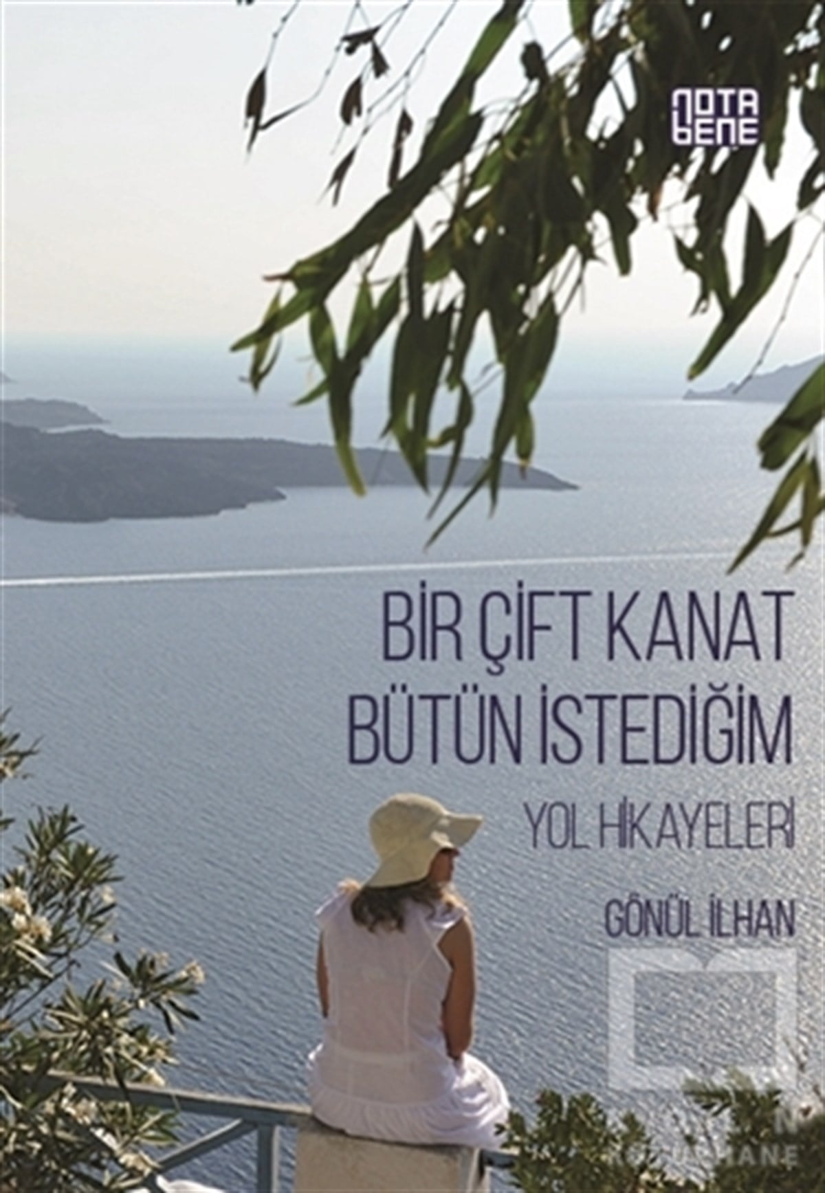 Gönül İlhanAnı - Mektup - GünlükBir Çift Kanat Bütün İstediğim