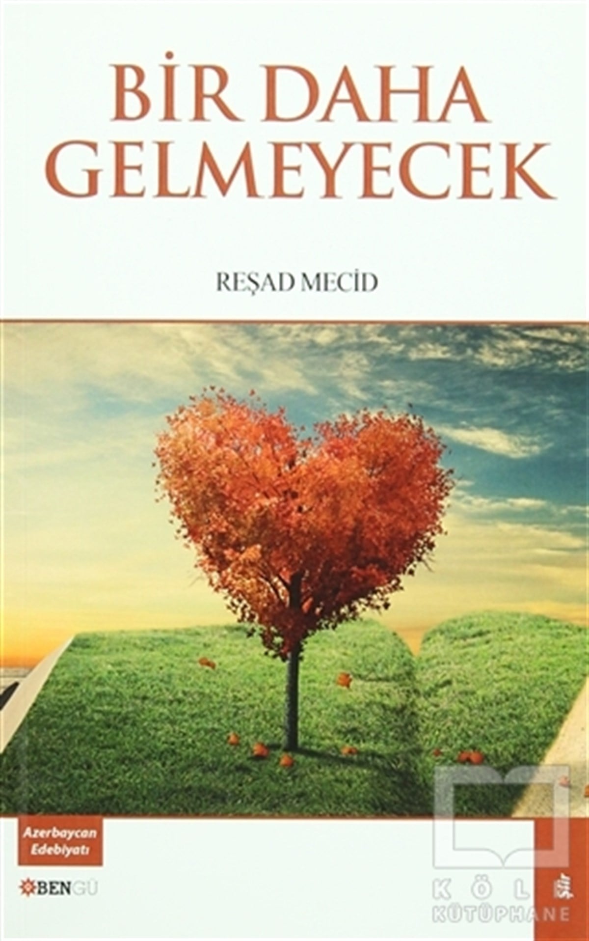 Reşad MecidTürkçe Şiir KitaplarıBir Daha Gelmeyecek