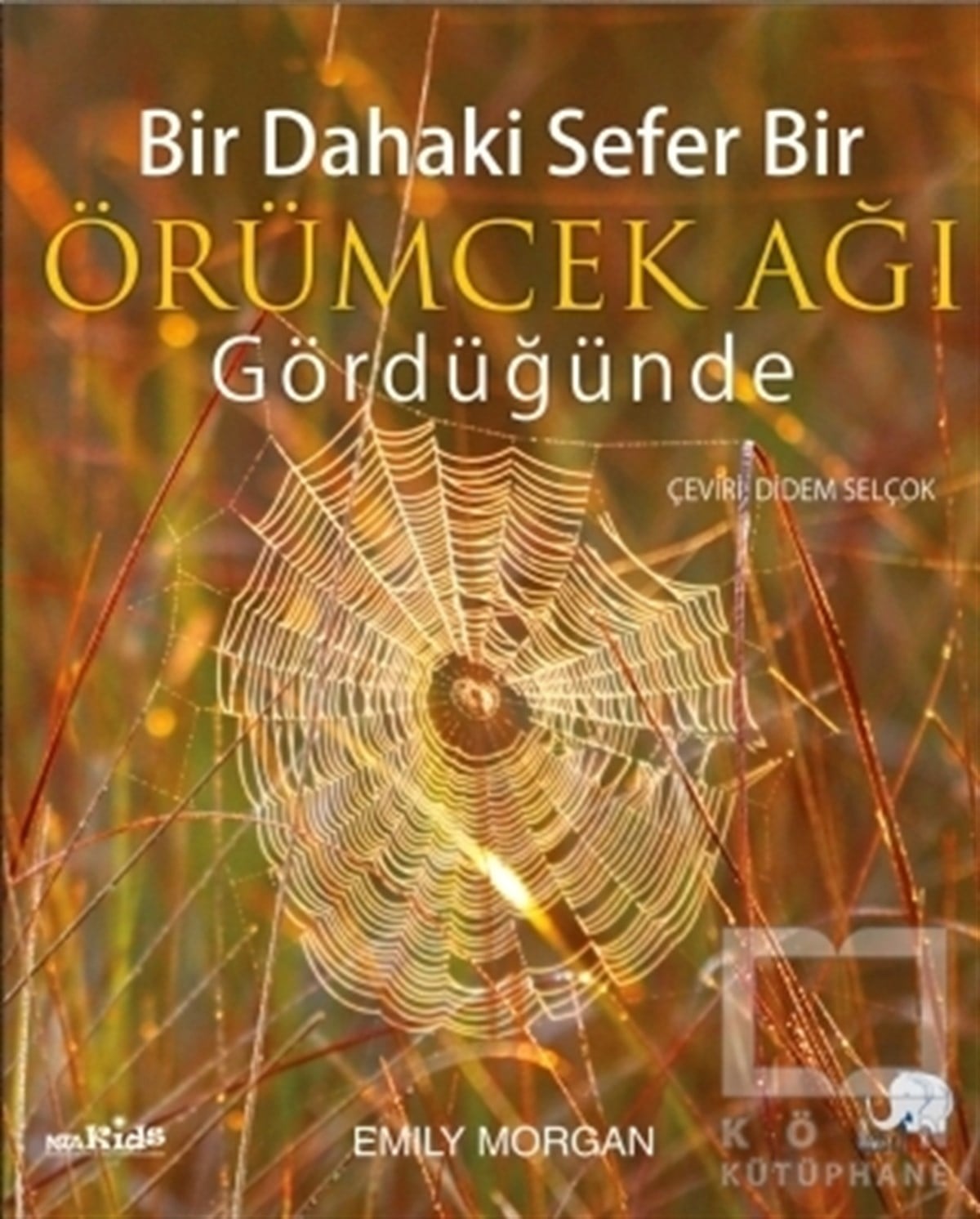 Emily MorganDiğerBir Dahaki Sefer Bir Örümcek Ağı Gördüğünde